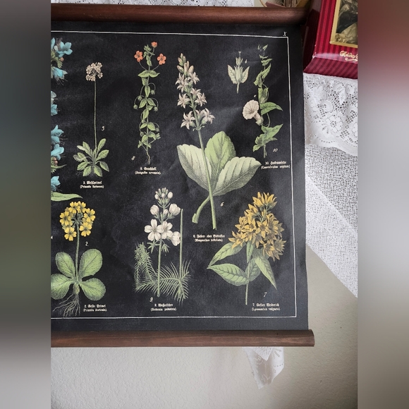 Botanical Print Wall Art Plants Flowers Wooden Trim - Picture 4 of 4